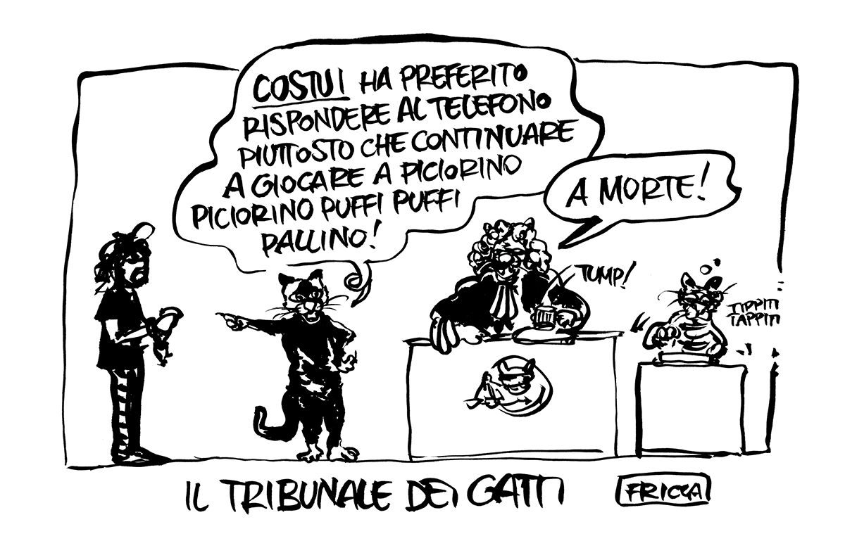 Il tribiunale dei gatti